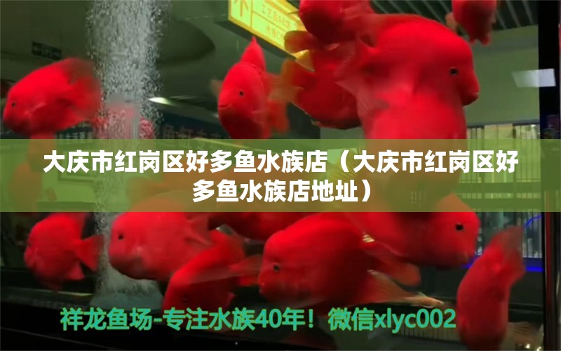 大慶市紅崗區(qū)好多魚水族店（大慶市紅崗區(qū)好多魚水族店地址） 全國水族館企業(yè)名錄