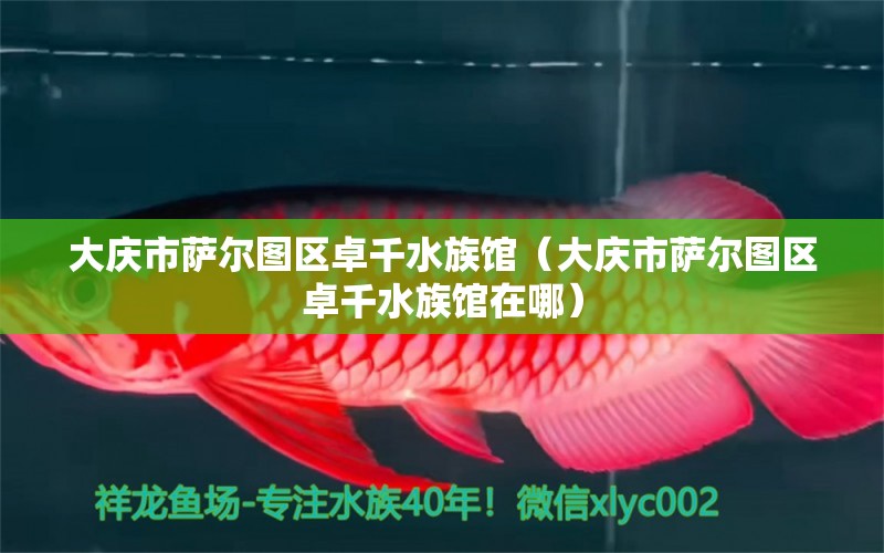 大慶市薩爾圖區(qū)卓千水族館（大慶市薩爾圖區(qū)卓千水族館在哪）