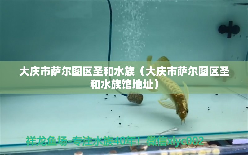 大慶市薩爾圖區(qū)圣和水族（大慶市薩爾圖區(qū)圣和水族館地址）