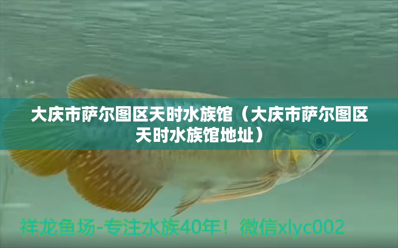 大慶市薩爾圖區(qū)天時(shí)水族館（大慶市薩爾圖區(qū)天時(shí)水族館地址）