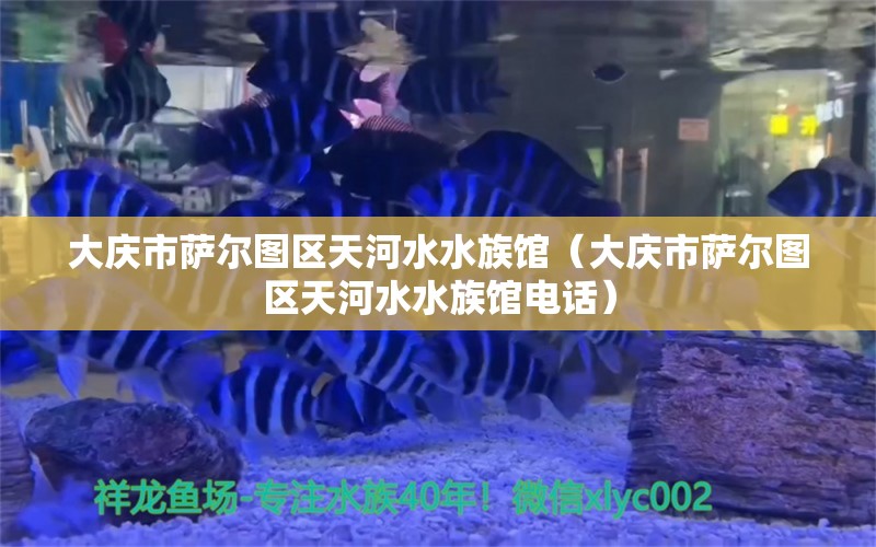 大慶市薩爾圖區(qū)天河水水族館（大慶市薩爾圖區(qū)天河水水族館電話）