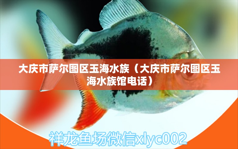 大慶市薩爾圖區(qū)玉海水族（大慶市薩爾圖區(qū)玉海水族館電話）