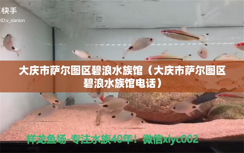 大慶市薩爾圖區(qū)碧浪水族館（大慶市薩爾圖區(qū)碧浪水族館電話）