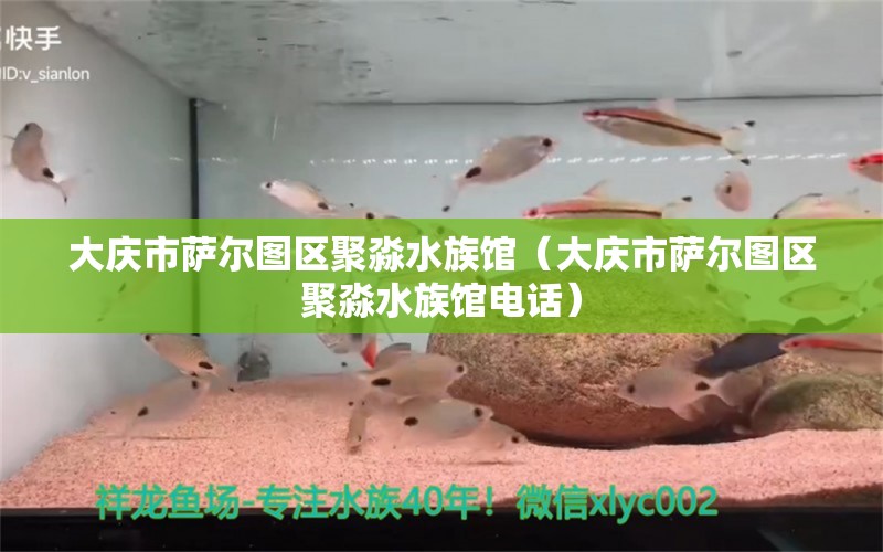 大慶市薩爾圖區(qū)聚淼水族館（大慶市薩爾圖區(qū)聚淼水族館電話）