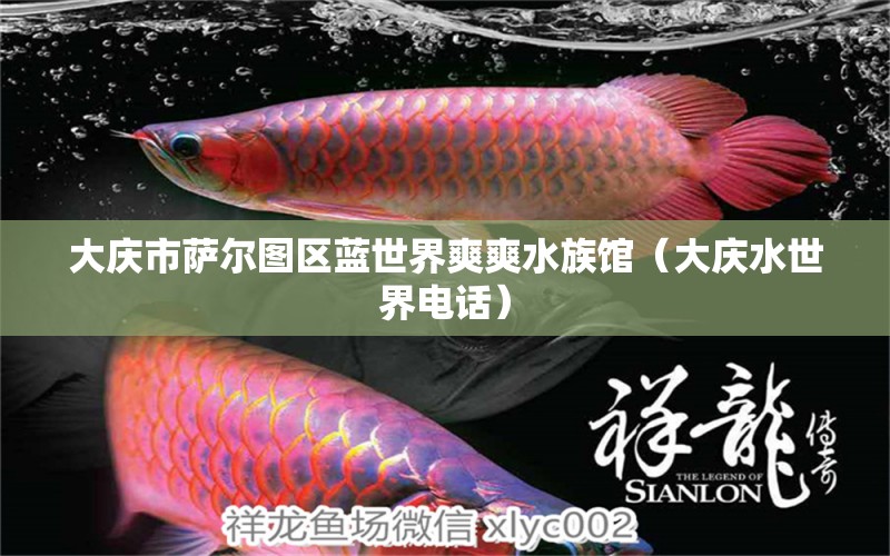 大慶市薩爾圖區(qū)藍(lán)世界爽爽水族館（大慶水世界電話） 全國水族館企業(yè)名錄