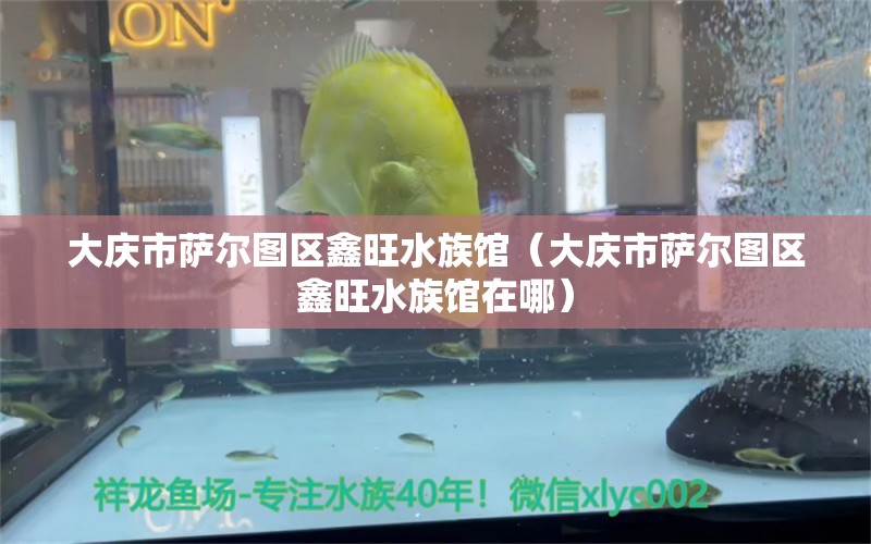 大慶市薩爾圖區(qū)鑫旺水族館（大慶市薩爾圖區(qū)鑫旺水族館在哪）