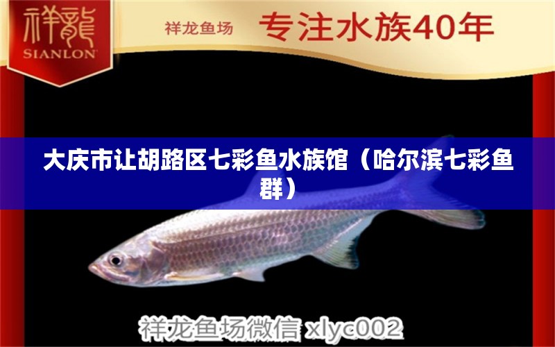 大慶市讓胡路區(qū)七彩魚水族館（哈爾濱七彩魚群）