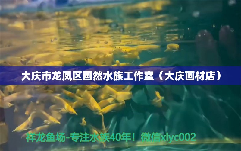 大慶市龍鳳區(qū)畫然水族工作室（大慶畫材店） 全國(guó)水族館企業(yè)名錄