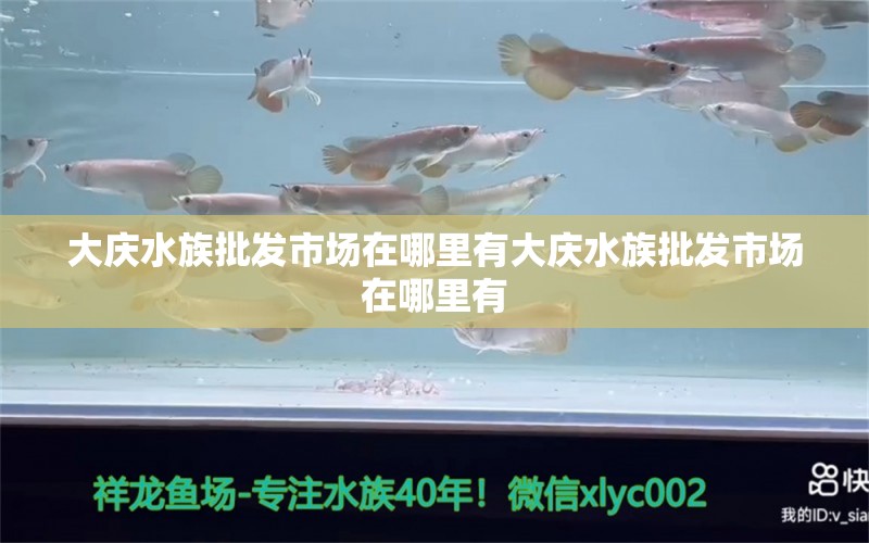 大慶水族批發(fā)市場在哪里有大慶水族批發(fā)市場在哪里有 觀賞魚水族批發(fā)市場