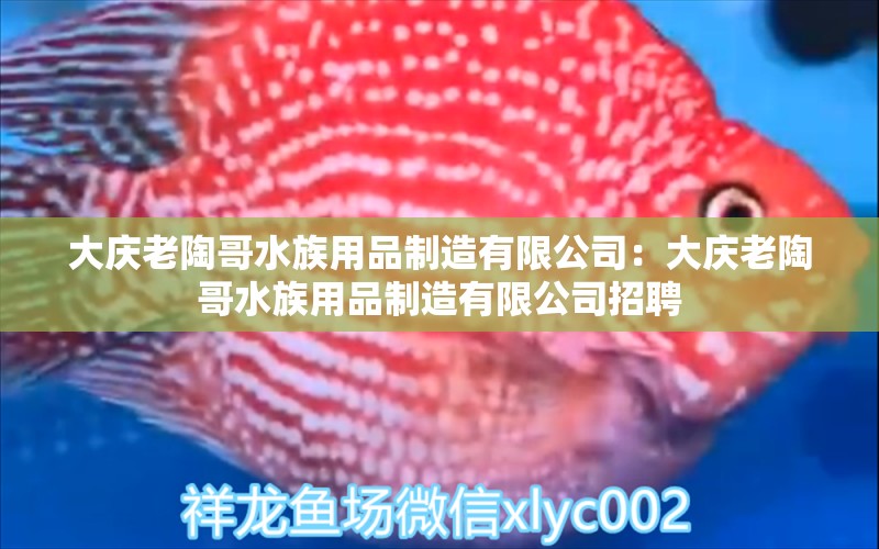 大慶老陶哥水族用品制造有限公司：大慶老陶哥水族用品制造有限公司招聘 水族用品