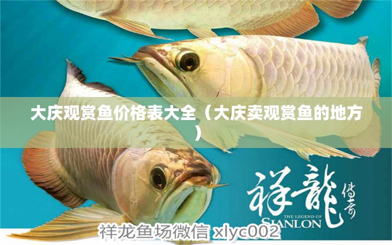 大慶觀賞魚價格表大全（大慶賣觀賞魚的地方） 其他益生菌