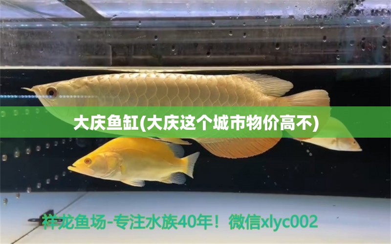 大慶魚缸(大慶這個(gè)城市物價(jià)高不)