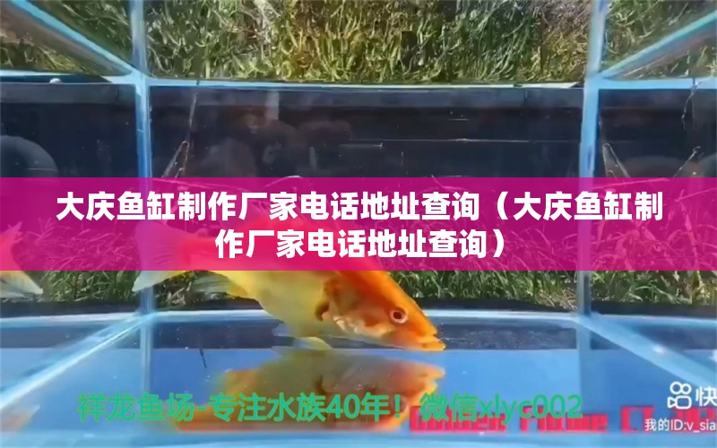 大慶魚缸制作廠家電話地址查詢（大慶魚缸制作廠家電話地址查詢） 祥龍水族醫(yī)院