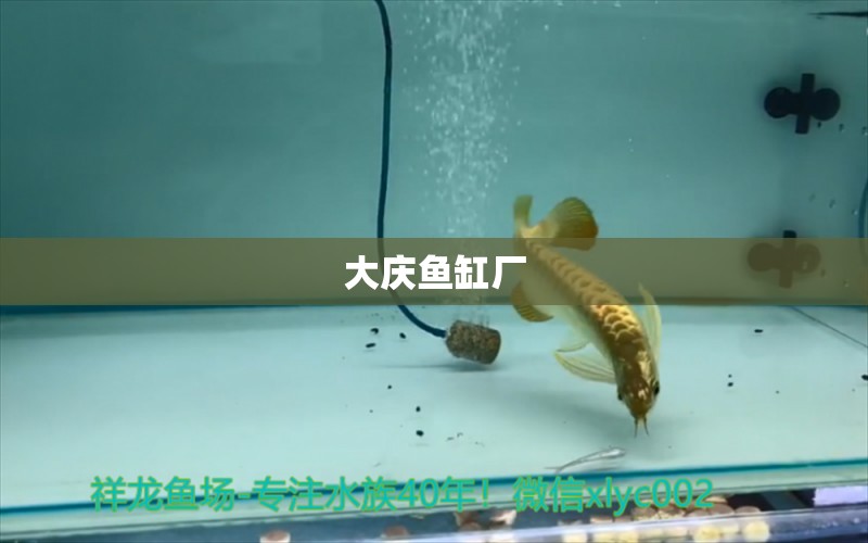 大慶魚缸廠