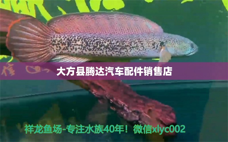 大方縣騰達(dá)汽車配件銷售店 全國(guó)水族館企業(yè)名錄