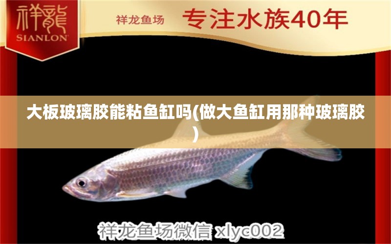 大板玻璃膠能粘魚缸嗎(做大魚缸用那種玻璃膠) 虎魚魚苗