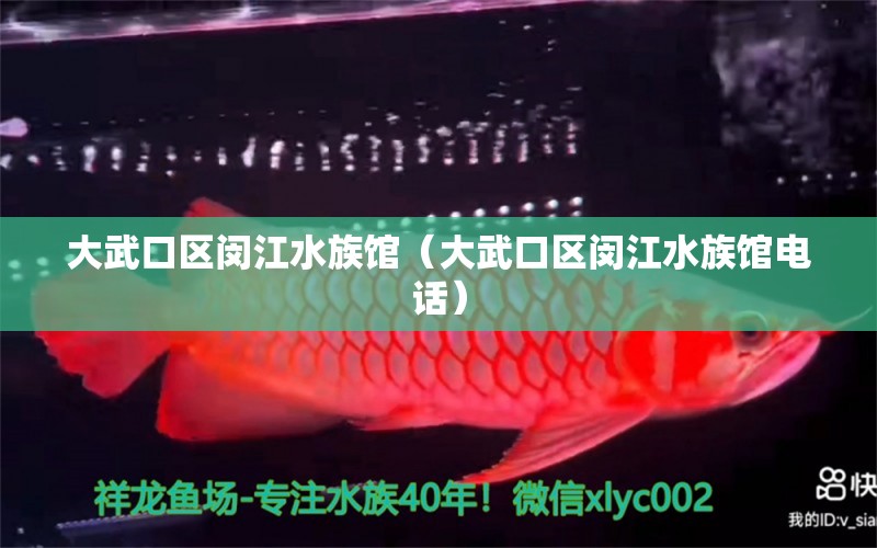 大武口區(qū)閔江水族館（大武口區(qū)閔江水族館電話）