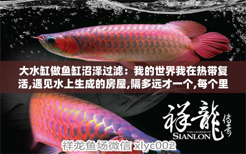 大水缸做魚缸沼澤過濾：我的世界我在熱帶復活,遇見水上生成的房屋,隔多遠才一個,每個里面都有一個水缸,一個工作臺,一盆蘑菇 養(yǎng)魚的好處