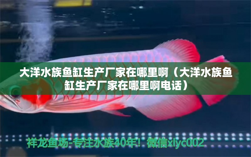 大洋水族魚缸生產(chǎn)廠家在哪里啊（大洋水族魚缸生產(chǎn)廠家在哪里啊電話） 祥龍魚場