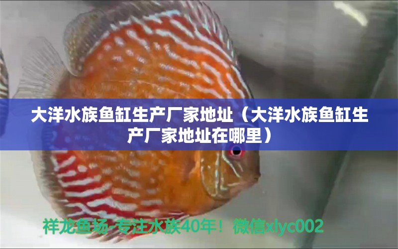 大洋水族魚缸生產(chǎn)廠家地址（大洋水族魚缸生產(chǎn)廠家地址在哪里）