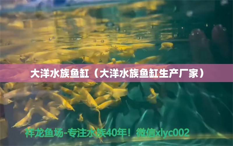 大洋水族魚缸（大洋水族魚缸生產(chǎn)廠家）