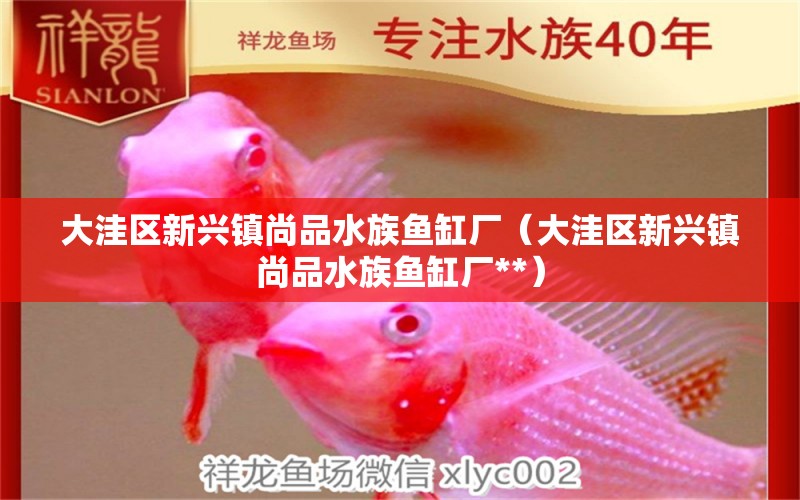 大洼區(qū)新興鎮(zhèn)尚品水族魚缸廠（大洼區(qū)新興鎮(zhèn)尚品水族魚缸廠**）