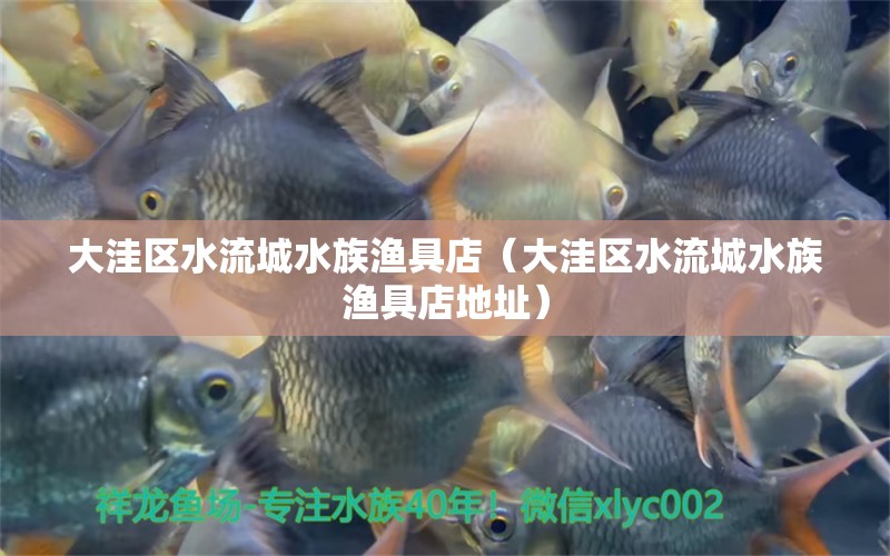 大洼區(qū)水流城水族漁具店（大洼區(qū)水流城水族漁具店地址） 全國(guó)水族館企業(yè)名錄