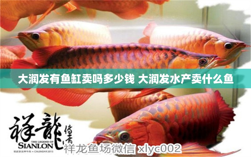 大潤(rùn)發(fā)有魚(yú)缸賣嗎多少錢 大潤(rùn)發(fā)水產(chǎn)賣什么魚(yú) 熱帶魚(yú)魚(yú)苗批發(fā) 第1張