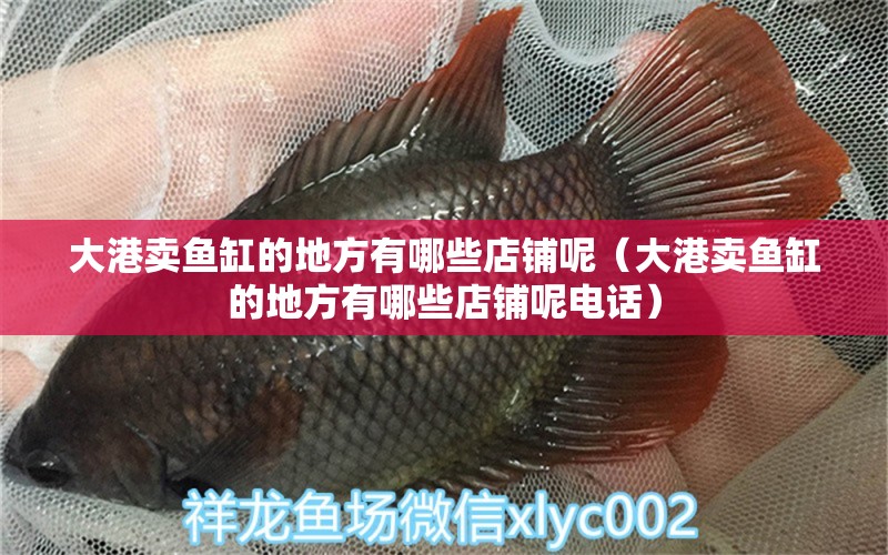 大港賣魚缸的地方有哪些店鋪呢（大港賣魚缸的地方有哪些店鋪呢電話）