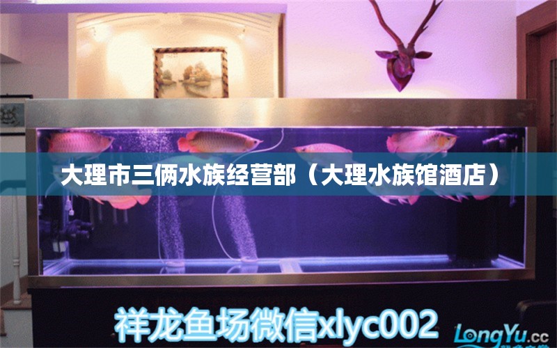 大理市三倆水族經(jīng)營(yíng)部（大理水族館酒店）