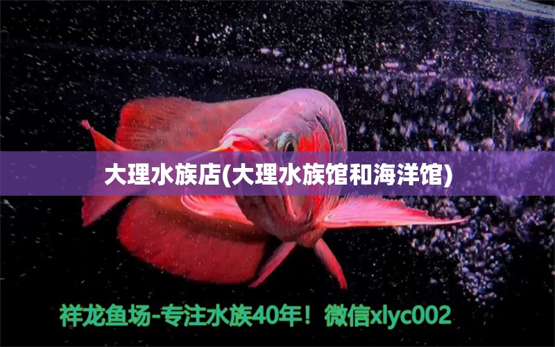 大理水族店(大理水族館和海洋館) 球鯊魚 第1張