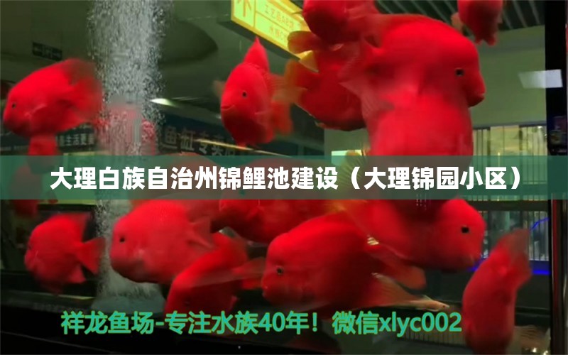 大理白族自治州錦鯉池建設（大理錦園小區(qū)） 水族世界