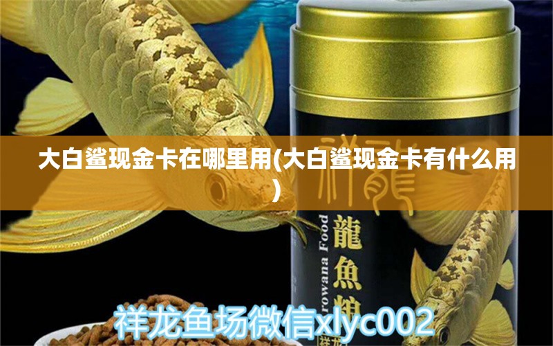 大白鯊現(xiàn)金卡在哪里用(大白鯊現(xiàn)金卡有什么用) 其他品牌魚缸