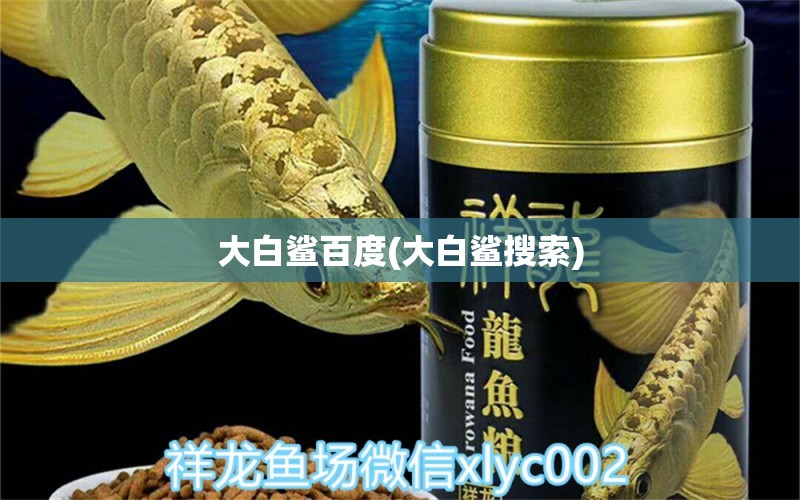 大白鯊百度(大白鯊搜索) 一眉道人魚