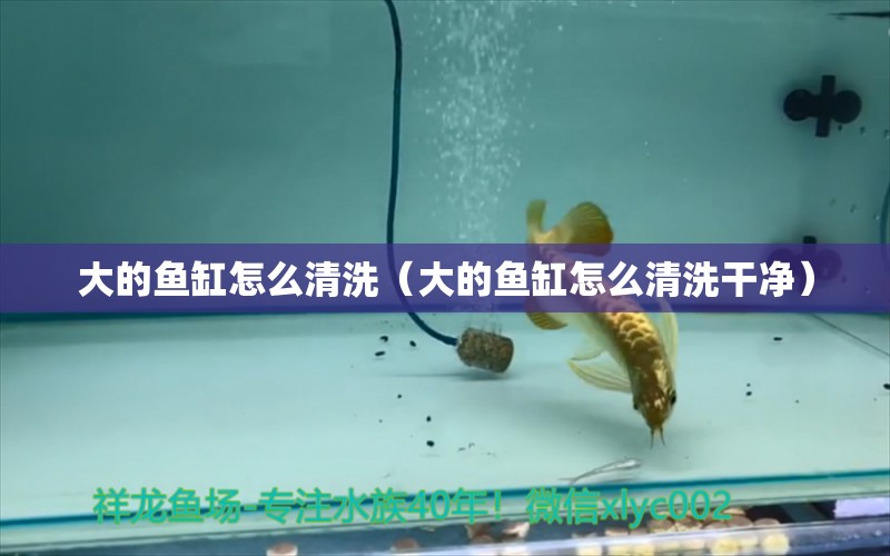 大的魚缸怎么清洗（大的魚缸怎么清洗干凈）