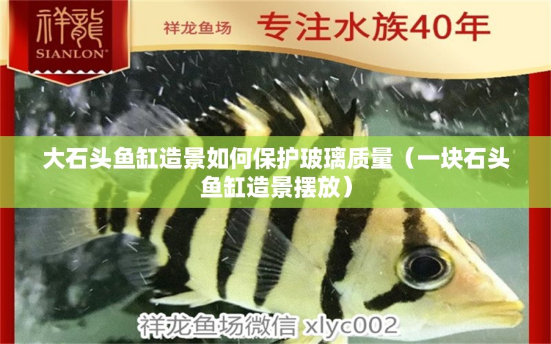 大石頭魚缸造景如何保護(hù)玻璃質(zhì)量（一塊石頭魚缸造景擺放） 觀賞魚批發(fā)