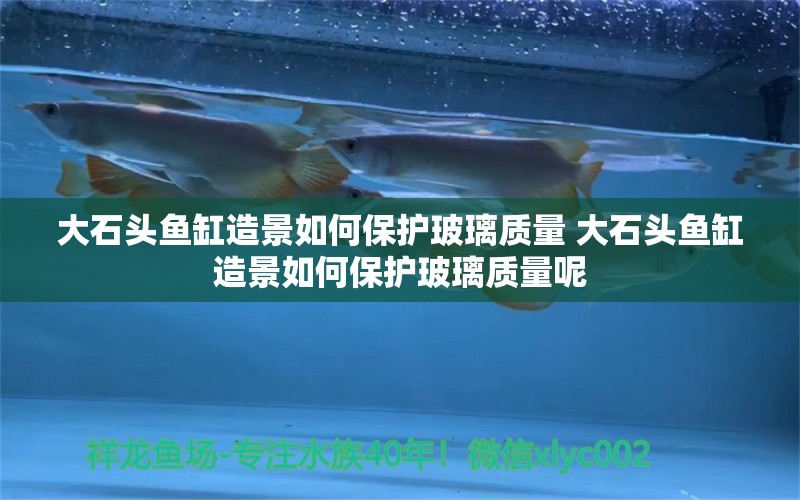 大石頭魚缸造景如何保護(hù)玻璃質(zhì)量 大石頭魚缸造景如何保護(hù)玻璃質(zhì)量呢 鸚鵡魚 第1張