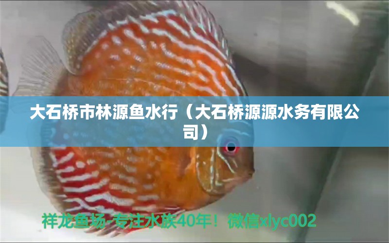 大石橋市林源魚水行（大石橋源源水務(wù)有限公司）