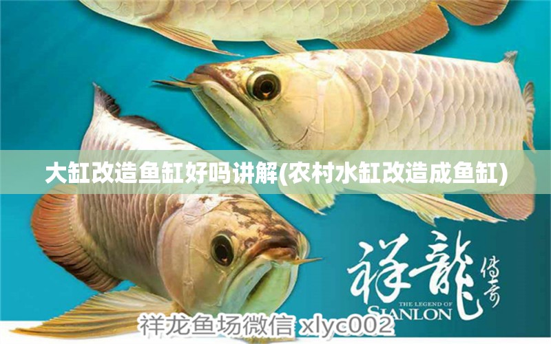 大缸改造魚缸好嗎講解(農(nóng)村水缸改造成魚缸)