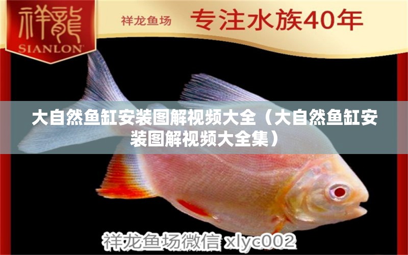 大自然魚缸安裝圖解視頻大全（大自然魚缸安裝圖解視頻大全集）