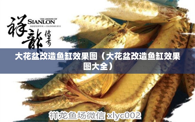 大花盆改造魚缸效果圖（大花盆改造魚缸效果圖大全）