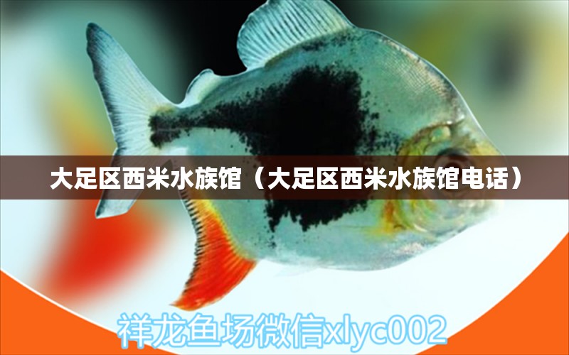 大足區(qū)西米水族館（大足區(qū)西米水族館電話）