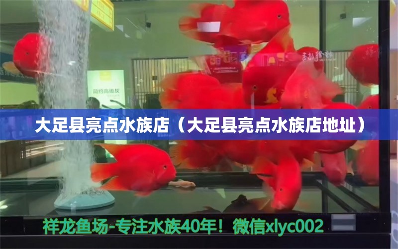 大足縣亮點水族店（大足縣亮點水族店地址）