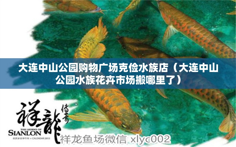 大連中山公園購(gòu)物廣場(chǎng)克儉水族店（大連中山公園水族花卉市場(chǎng)搬哪里了）