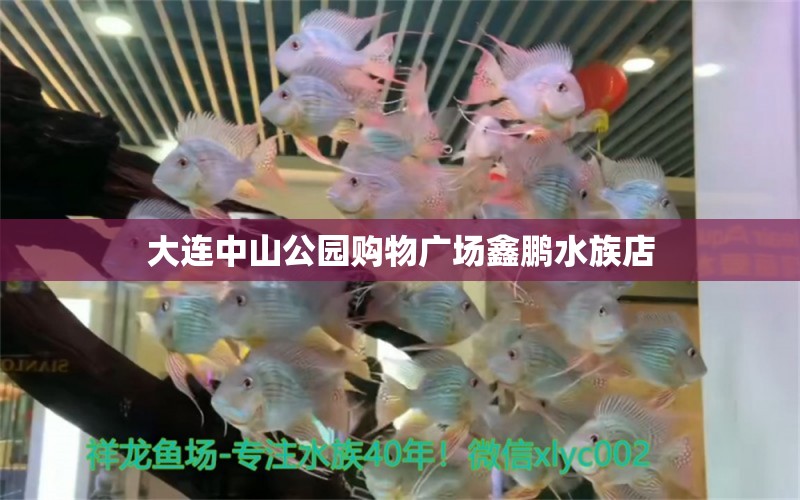 大連中山公園購(gòu)物廣場(chǎng)鑫鵬水族店 全國(guó)水族館企業(yè)名錄