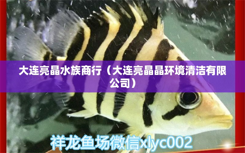 大連亮晶水族商行（大連亮晶晶環(huán)境清潔有限公司）