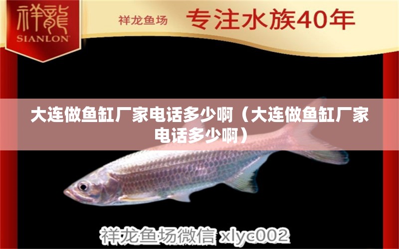 大連做魚缸廠家電話多少?。ù筮B做魚缸廠家電話多少?。? title=