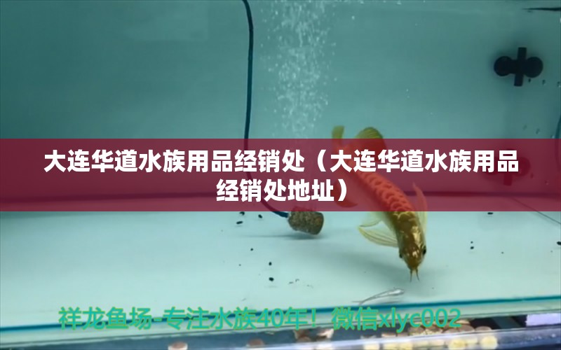 大連華道水族用品經銷處（大連華道水族用品經銷處地址）