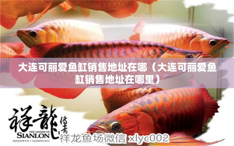 大連可麗愛魚缸銷售地址在哪（大連可麗愛魚缸銷售地址在哪里） 量子養(yǎng)魚技術(shù)