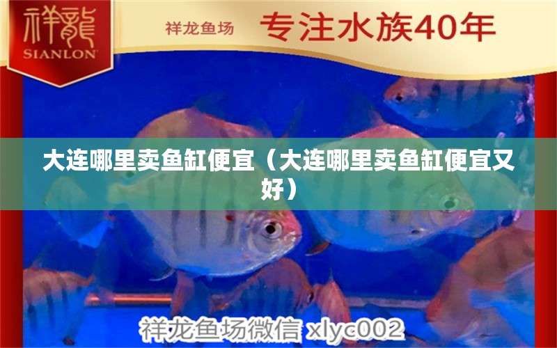 大連哪里賣魚缸便宜（大連哪里賣魚缸便宜又好） 其他品牌魚缸